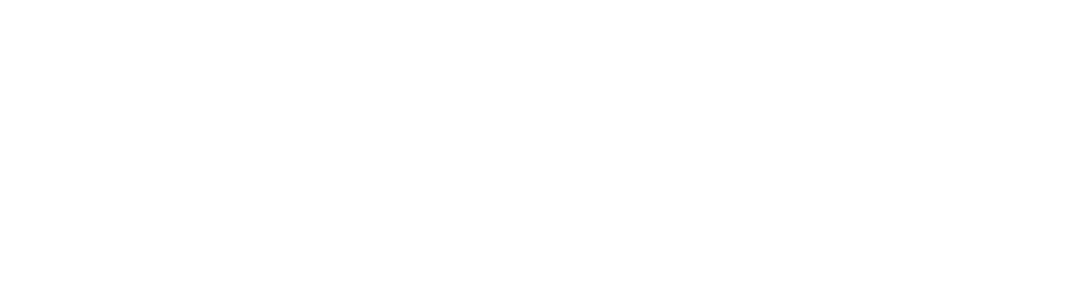 The Media Leader